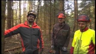 BR Bayerischer Rundfunk bei Motorsägenkurs von Wald amp Holz Hofmann httpwwwwaldundholzeu [upl. by Gresham]