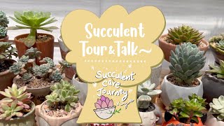 Vlog 116  052224 Succulent Tour amp Update [upl. by Esilec]