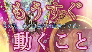 【ついに動き出すこと】本気で占います❤️‍🔥恋愛仕事夢、全選択肢で映画一本分の濃厚な急展開🎉今から起こることは頑張ってきたあなたへのご褒美です ［ルノルマンタロットオラクルカード］ [upl. by Paulina]