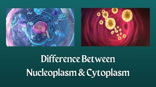 Difference Between Nucleoplasm and Cytoplasm  Unraveling the Mystery Behind Nucleoplasm amp Cytoplasm [upl. by Saxon]