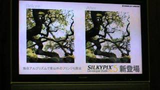 CP2011：市川ソフトラボラトリー「SILKYPIX Developer Studio Pro5」紹介 [upl. by Norabel]