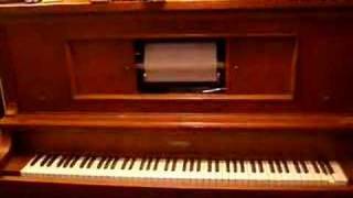 Maple Leaf Rag on my Player Piano [upl. by Edgard]