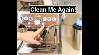 Clean Me Again   Breville Barista Express [upl. by Naesed]