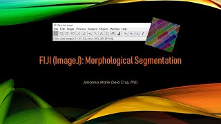 FIJI ImageJ Morphological Segmentation [upl. by Odelet]