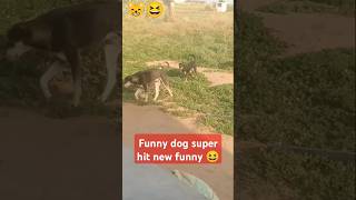 New funny dogi 🐈😂🤣 comedy funny हस trending fun फन dog shortvideo shorts ytshorts youtube [upl. by Hauge358]