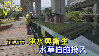 【SDGs】這個人用一輩子救生態！十年收集374種水草、踏查汙染河川 “田中博士” 吳聲昱用水草救地球∣一步一腳印【水草伯的投入】20240428 [upl. by Nwaf463]