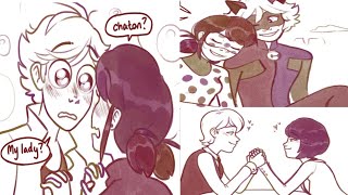 Adrienette Never Met AU A Miraculous Ladybug Comic Dub [upl. by Gytle]