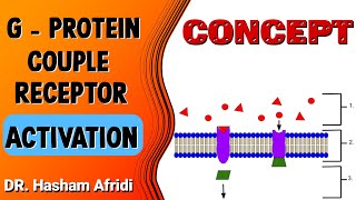 GProtein Couple Receptor Activation [upl. by Uah]