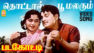 Thottal Poo Malarum  HD Video Song  தொட்டால் பூ மலரும்  Padagotti  MGR  Saroja Devi [upl. by Mayram]