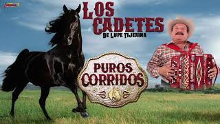 LOS CADETES DE LINARES  PUROS CORRIDOS PLAYLIST OFICIAL [upl. by Aivatnuhs]