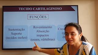 Histologia Tecido Cartilaginoso [upl. by Baese]