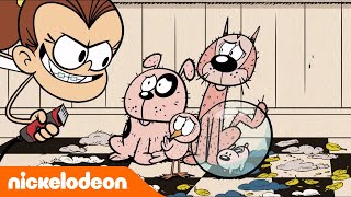 Bienvenue Chez les Loud  Découvre les nouveaux épisodes le 1010 à 17h55  Nickelodeon France [upl. by Fritze101]