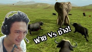 Beast Battle Simulator ฟาย Vs ช้าง ศึกดวลเพนกวิ้นซิมูเลเตอร์ [upl. by Elletnahs]