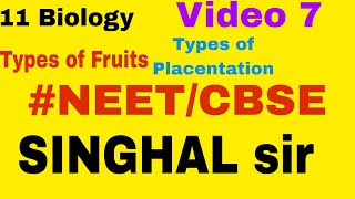 Morphology of Flowering plants Placentation and Fruits [upl. by Gambell]