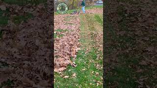 Mulching Leaves with my Lawn Mower [upl. by Shadow]