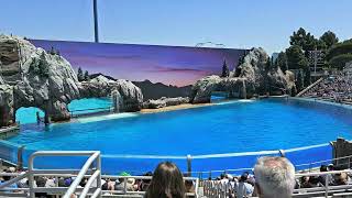 Sea World San Diego [upl. by Acceber206]