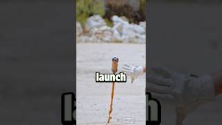 How to launch water bottle like rocket 🤔 [upl. by Adigirb]