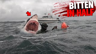 This Great White Shark Bites Diver In Half In Front of His Best Friend [upl. by Cuyler]