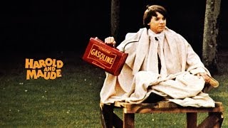 Harold and Maude 1971 Movie Review and Discussion [upl. by Arty]