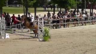 Champion CSO Poney 1 D Minime 1 et  Valentin GOURMAUX [upl. by Scot]