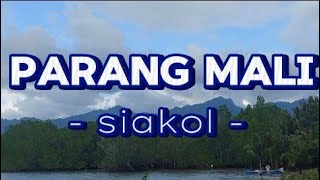 Parang mali siakol guitar chords with lyrics [upl. by Hett]