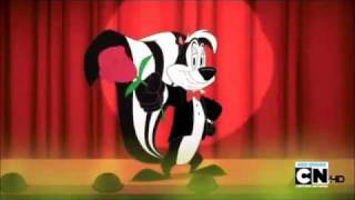 The Looney Tunes Show Merrie Melodies Skunk Funk [upl. by Nhor]