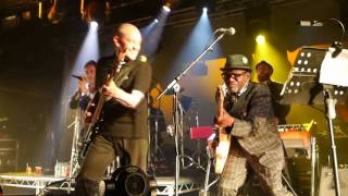 The Specials – Do The Dog Rock City Nottingham 191016 [upl. by Jacintha683]