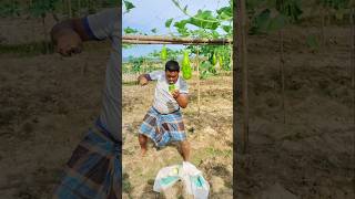 New Lahoreindia Sri Lanka South Africa MyanmarMalaysiaPakistanfunny video Indonesia [upl. by Neyuh]