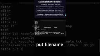 Mastering SFTP Essential Tips amp Tricks sftp techshorts shorts [upl. by Puklich]