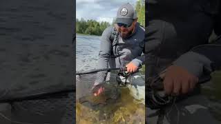 Flugfiske i Jämtland med VATN 5 från Söder Sportfiske fishing happiness sweden [upl. by Klemens]