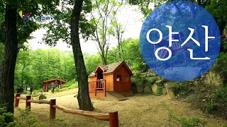 Tourism KOREA  양산8경 대운산 자연휴양림  Yangsan City [upl. by Farra]