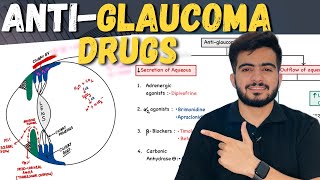 Drugs for Glaucoma  AntiGlaucoma Drugs Pharmacology  DrMohit Sheoran [upl. by Tabib]