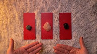 ASMR Timeless Tarot Reading Pick a Pile 🌻🐈‍⬛ [upl. by Rakia]