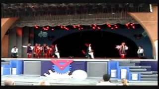 Lviv Ukrainian Dance Ensemble  Senior Hopak 2008 Disney World [upl. by Cyprio381]