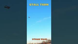 Dynam Waco RC plane performing a Stall Turn Biplane [upl. by Anneirda936]