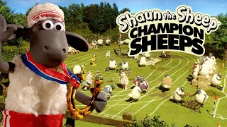 Full Episodes Compilation 🏆 Championsheeps 🐑 Shaun the Sheep sport ShaunTheSheep [upl. by Ramed]