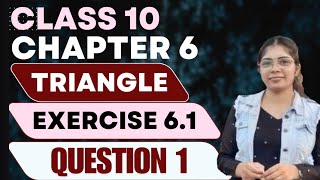 Class 10 Maths  Chapter 6  Triangles  Ex 61 Question 1 [upl. by Coreen86]