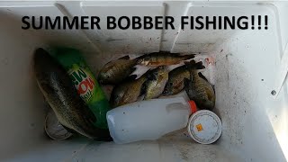 Bobber Fishing Panfish Bonus Bass 61224 [upl. by Arremat]