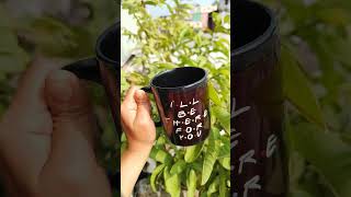 Black Patch Mug💋7585964447❤️‍🔥trendingshorts viralvideo trendingreels trendingreels trending [upl. by Aliab]