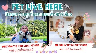 FULL Pet Live Here นิยามความสุขที่ออกแบบเพื่อสัตว์เลี้ยง l Pet Lover by Jerhigh EP48 [upl. by Gratiana]