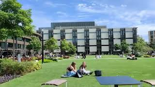 Macquarie University  December 2024 Intake  First One Education Migration BGC [upl. by Eyr]