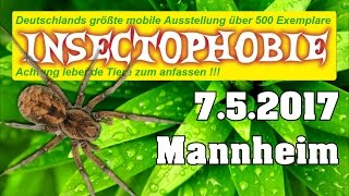 Insektophobie 2017  Jede menge Krabbeltiere [upl. by Assinna953]