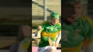 Adam Screeney 🪄 offalygaa gaa hurling goal adamscreeney [upl. by Epillihp]