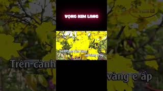 KARAOKE VỌNG KIM LANG HƯƠNG XUÂN karaokecavongco shorts [upl. by Doro569]