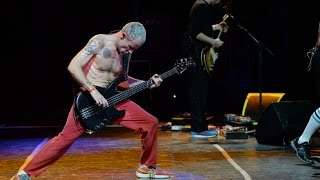 HQ Red Hot Chili Peppers  Cant Stop Lollapalooza Argentina 2014 [upl. by Anitap]