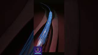 Coronary Artery Stent animation shorts heartstent [upl. by Eberta]