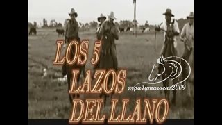 LOS 5 LAZOS DEL LLANO COMPLETO [upl. by Nauq698]