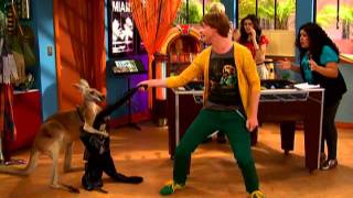 Kangaroos amp Chaos  Minibyte  Austin amp Ally  Disney Channel Official [upl. by Brote684]