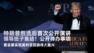 特朗普胜选后首次公开演讲：领导班子集结！公开待办事项，豪言要实现美利坚民族伟大复兴｜新闻特写20241116 [upl. by Laenahtan]