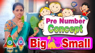 Pre Number Concept and activity  Big Small Concept  Teaching Classes activity education [upl. by Aratak]